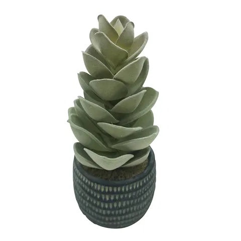 Succulent 24cm Black Pot